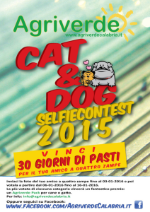 agrivedrde-selfiecontest-2015