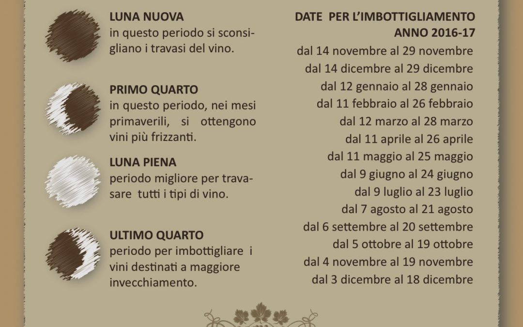 Quando imbottigliare il vino?