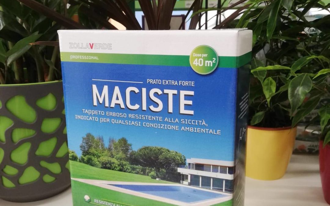 Semina del prato a primavera: tutte le operazioni necessarie
