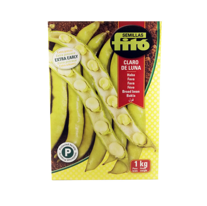 Sementi Fava Claro de Luna 1 kg - Fito'