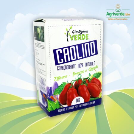 Caolino Polvere di Roccia 1 Kg Potenzia Difese delle Piante
