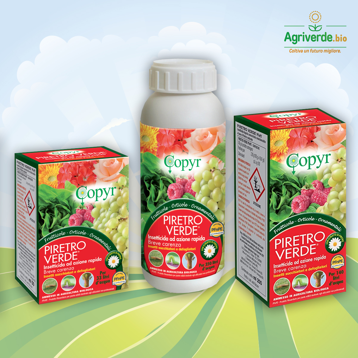 PIRETRO VERDE Insetticida liquido naturale per orto e frutticole Copyr BIO