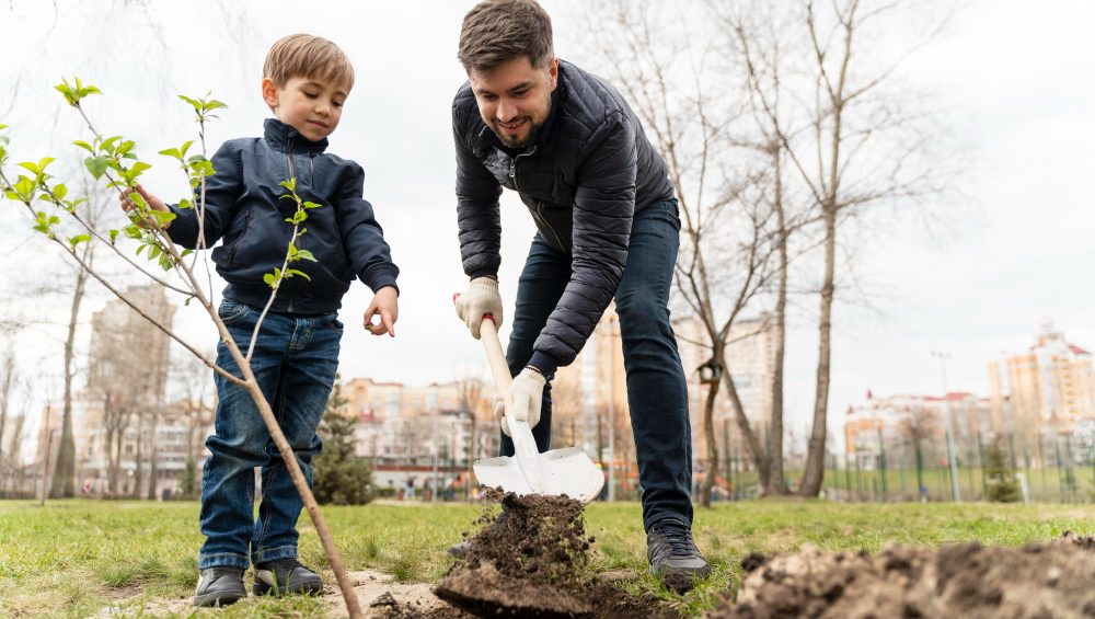 bambino impara a piantare un albero