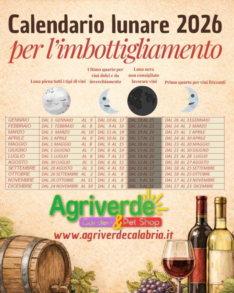Imbottigliamento, calendario lunare 2026: ecco i giorni migliori per il tuo vino