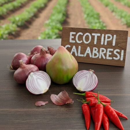 Piantine da orto Ecotipi Calabresi