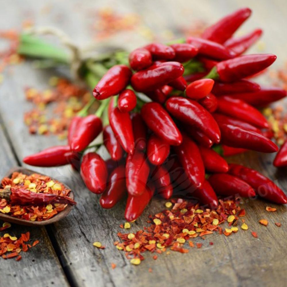 Semi Diavolicchio di Calabria - immagine 2