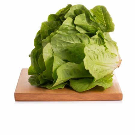 Lattuga Romana - Pack 9 piantine