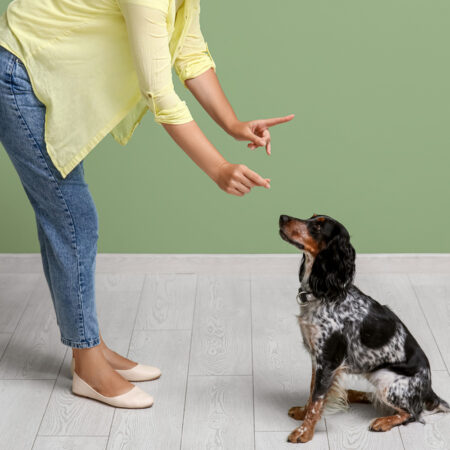 Repellenti e Disabituanti