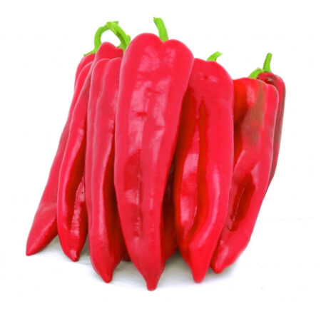 Peperone Corno di Toro Rosso F1 Diablo - Pack 9 piantine