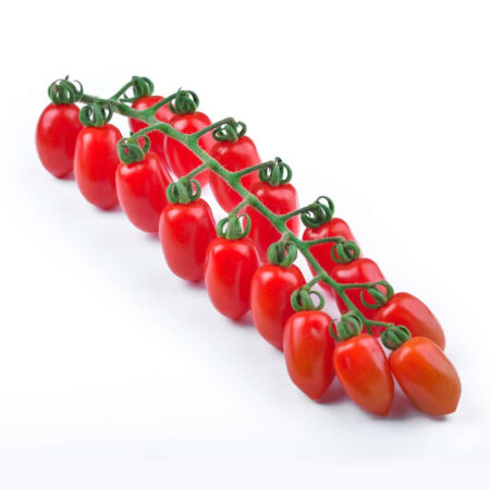 Pomodoro Datterino Rosso Datter F1 - Pack 9 piantine