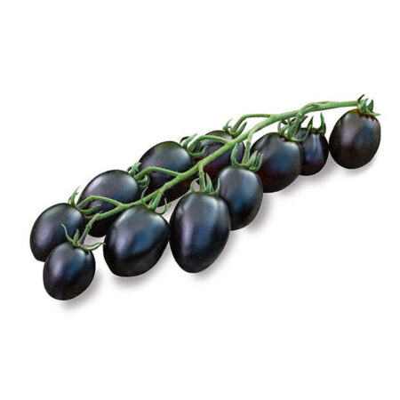 Pomodoro Datterino Nero - Pack 6 piantine