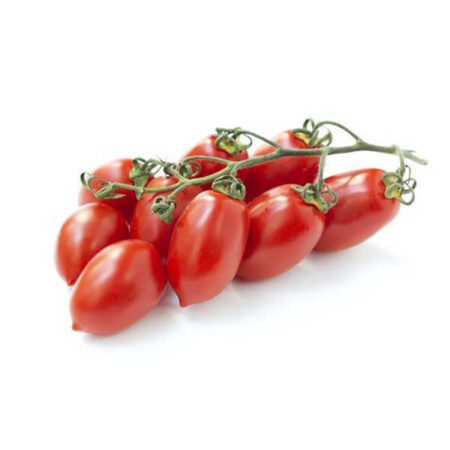 Pomodoro Piccadilly - Pack 6 Piantine