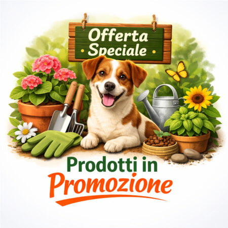 Prodotti in promozione